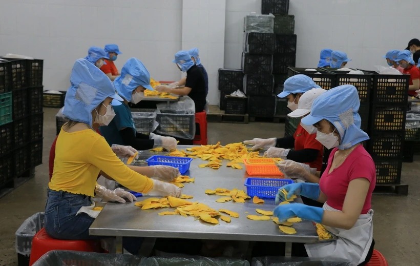 Phát triển kinh tế tư nhân - Đòn bẩy cho một Việt Nam thịnh vượng