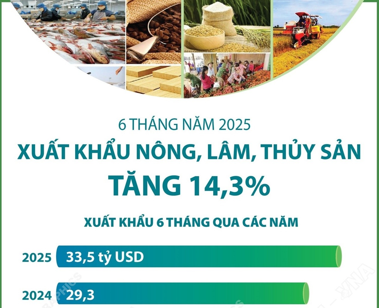 6 tháng năm 2025: Xuất khẩu nông, lâm, thủy sản tăng 14,3%