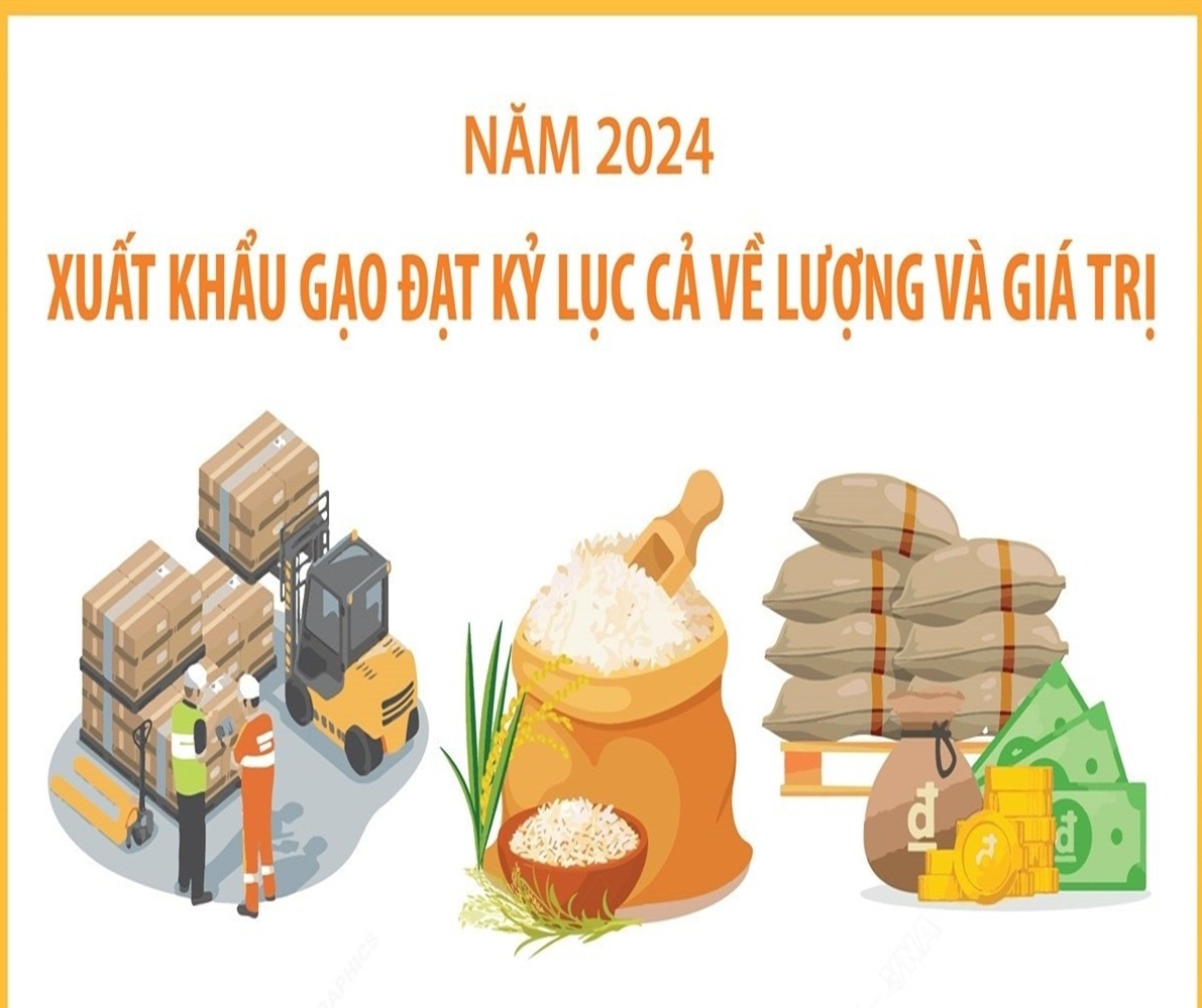 Xuất khẩu gạo đạt kỷ lục cả về lượng và giá trị trong năm 2024