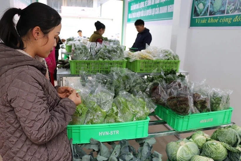 Bỏ thuế khoán: Hóa đơn điện tử thay đổi 