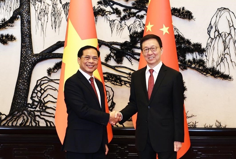 Phó Thủ tướng Bộ trưởng Bộ Ngoại giao Bùi Thanh Sơn hội kiến Phó Chủ tịch Trung Quốc Hàn Chính