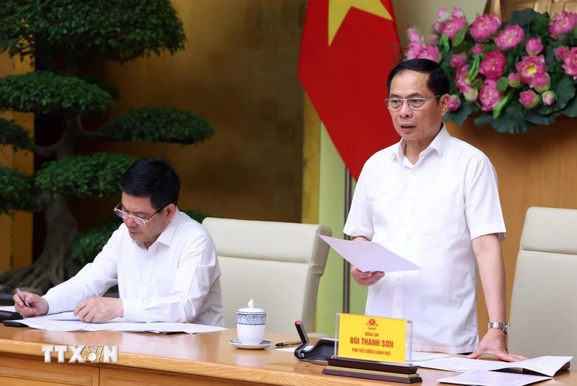 Phó Thủ tướng Bùi Thanh Sơn: Xử lý kịp thời các đối tượng buôn lậu, gian lận