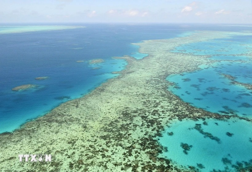 Việt Nam tích cực chung tay bảo tồn và sử dụng bền vững đại dương