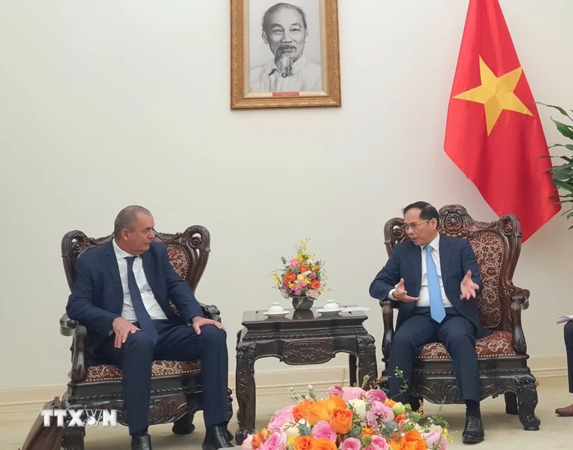 Việt Nam toàn tâm, toàn ý cùng Cuba dẫn dắt quan hệ hữu nghị hai nước