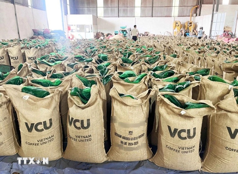 Cơ hội mở rộng hợp tác thương mại song phương Việt Nam-Nga