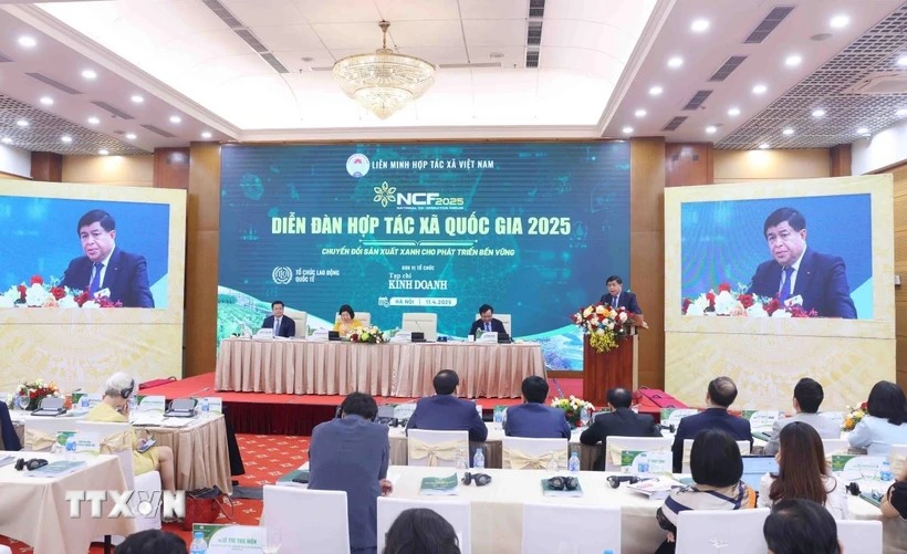 Các tổ chức kinh tế tập thể cần tăng đầu tư vào chuyển đổi xanh, công nghệ xanh