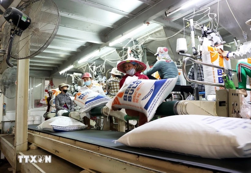 Nguyên nhân và lý do nào làm giá gạo xuất khẩu liên tục giảm sâu?