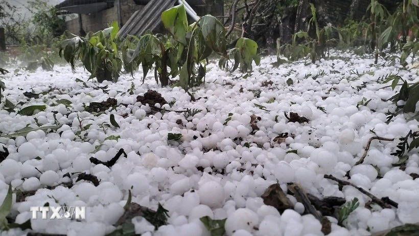 Đề nghị các tỉnh chủ động ứng phó với mưa lớn, lốc sét và gió mạnh trên biển