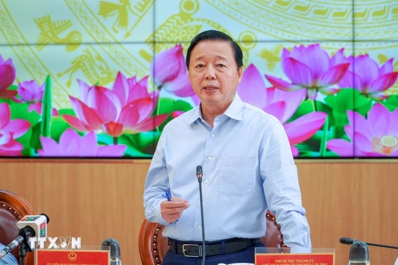 Theo dõi diễn biến thị trường để chủ động điều hành sản xuất, xuất khẩu lúa gạo