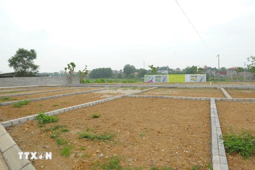 Luật Đất đai 2024: Mở rộng quyền sử dụng đất đối với người Việt Nam ở nước ngoài