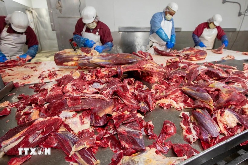 Việt Nam tìm cơ hội xúc tiến thương mại, nhập hàng nông lâm thủy sản Hoa Kỳ