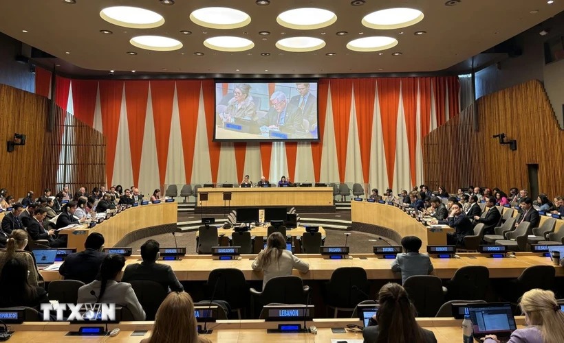 Việt Nam bắt đầu nhiệm kỳ thành viên Hội đồng chấp hành UN Women