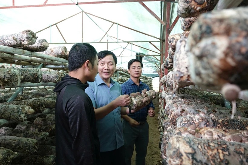 Bộ Nông nghiệp và Môi trường chính thức tiếp nhận quản lý Nhà nước về giảm nghèo