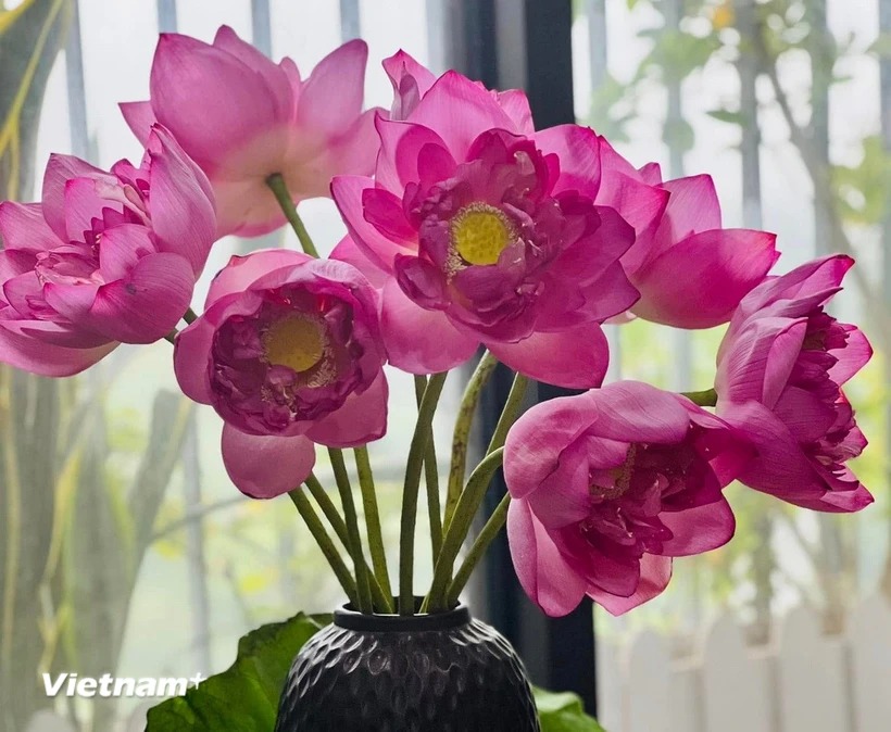 Những đặc sản ngon tuyệt, hấp dẫn chỉ có trong nắng Hè tháng 6