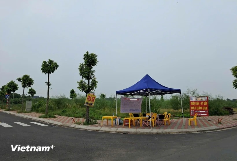 Ngăn bỏ cọc đấu giá đất: Cần tăng mức ký quỹ gắn với bồi thường khi bỏ cọc